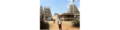 223. திருமுதுகுன்றம்